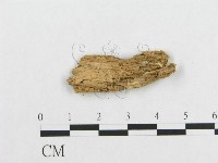 登錄號:F0014156藏品圖，第3張