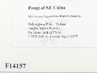 登錄號:F0014157藏品圖，第2張