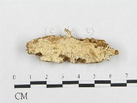 登錄號:F0014157藏品圖，第1張