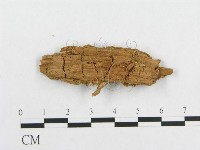 登錄號:F0014157藏品圖，第3張