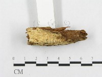 登錄號:F0014158藏品圖，第3張