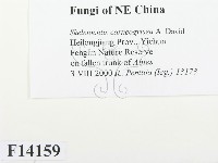 登錄號:F0014159藏品圖，第2張