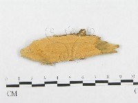 登錄號:F0014159藏品圖，第3張