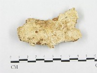 登錄號:F0014160藏品圖，第1張