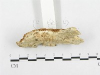 登錄號:F0014160藏品圖，第4張