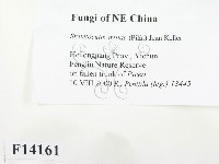 登錄號:F0014161藏品圖，第2張