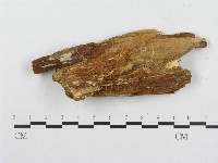 登錄號:F0014161藏品圖，第3張