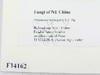 登錄號:F0014162藏品圖，第2張