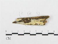 登錄號:F0014162藏品圖，第1張