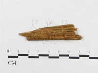 登錄號:F0014162藏品圖，第3張