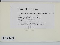 登錄號:F0014163藏品圖，第2張