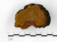 登錄號:F0014164藏品圖，第1張