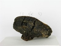 登錄號:F0014164藏品圖，第4張