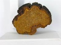 登錄號:F0014164藏品圖，第5張