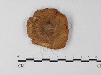 登錄號:F0014165藏品圖，第1張