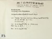 相鄰小孔菌藏品圖，第2張