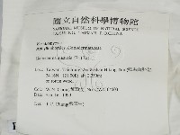 登錄號:F0014167藏品圖，第2張