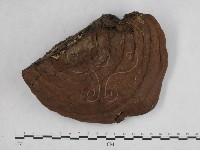 登錄號:F0014167藏品圖，第1張