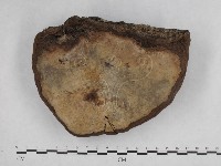 登錄號:F0014167藏品圖，第3張