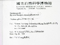 登錄號:F0014168藏品圖，第2張