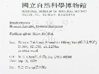 登錄號:F0014168藏品圖，第3張