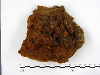 登錄號:F0014168藏品圖，第4張