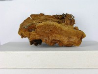 登錄號:F0014168藏品圖，第5張