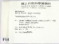 登錄號:F0014169藏品圖，第2張