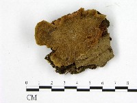 登錄號:F0014169藏品圖，第1張