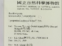 登錄號:F0014171藏品圖，第2張