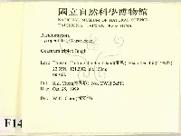 登錄號:F0014172藏品圖，第2張