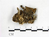 登錄號:F0014172藏品圖，第3張