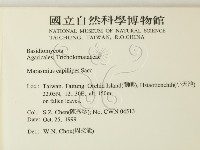 登錄號:F0014174藏品圖，第2張