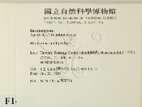登錄號:F0014175藏品圖，第2張