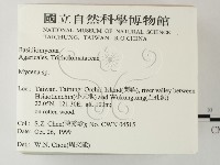 小菇屬藏品圖，第2張