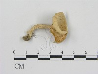 登錄號:F0014179藏品圖，第3張