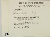 登錄號:F0014181藏品圖，第2張