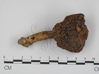 登錄號:F0014183藏品圖，第1張