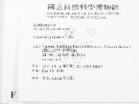 蘑菇藏品圖，第2張