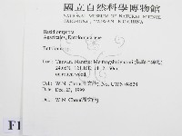 粉褶菌屬藏品圖，第2張