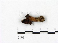 登錄號:F0014187藏品圖，第3張