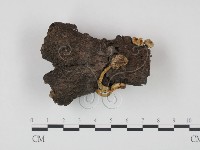 登錄號:F0014189藏品圖，第1張