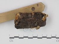 登錄號:F0014189藏品圖，第3張