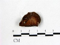 登錄號:F0014190藏品圖，第1張