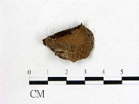 登錄號:F0014190藏品圖，第3張