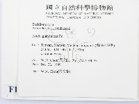 登錄號:F0014191藏品圖，第2張