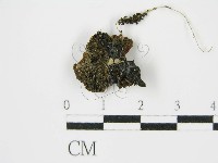 登錄號:F0014191藏品圖，第3張