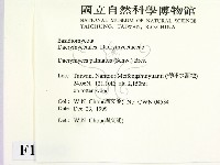 登錄號:F0014192藏品圖，第2張