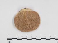 登錄號:F0014194藏品圖，第3張