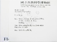 鬼傘屬藏品圖，第2張